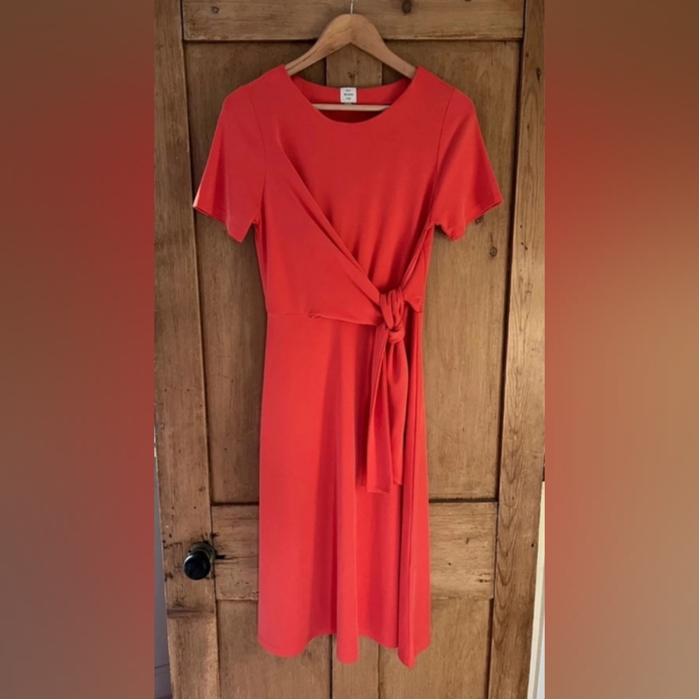 WORN Quality Branded Dress